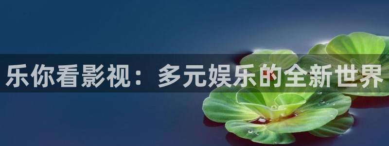 理论片琪琪午夜电影：乐你看影视：多元娱乐的全新世界