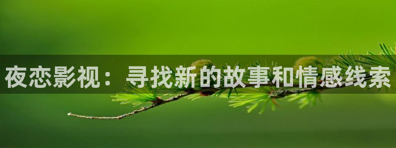 琪琪午夜伦理影院电影在线：夜恋影视：寻找新的故事和情感线索