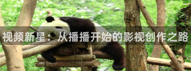 琪琪电影院网：视频新星：从播播开始的影视创作之路