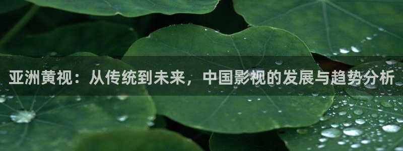 琪琪电影院伦理：亚洲黄视：从传统到未来，中国影视的发展与趋势分析