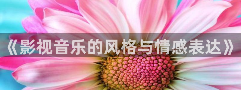 777琪琪电影午夜理伦片：《影视音乐的风格与情感表达》